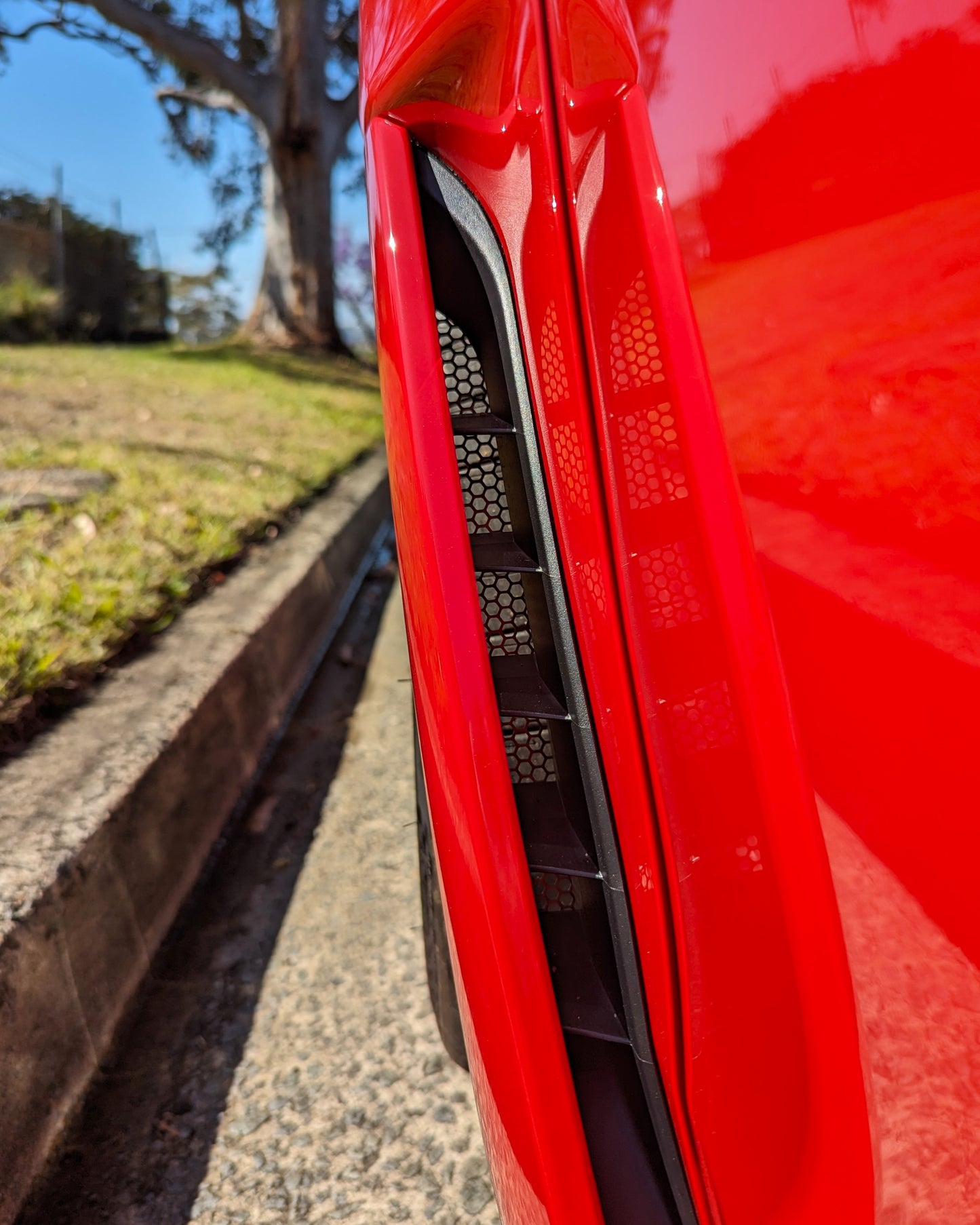 ALPLUS Aero Guard Carbon on Red FL5 from front doors